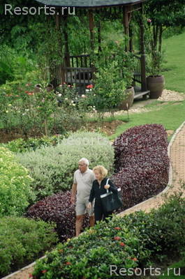 The River House Resort & Spa Chiang Rai 36